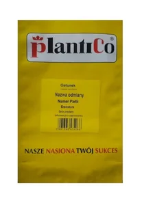 Groch siewny łuskowy Kantata 500 g Plantico POLAN - Nasiona i cebule - miniaturka - grafika 1