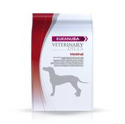 Sucha karma dla psów - Eukanuba Veterinary Diet Eukanuba Veterinary Diet Intestinal 5kg MS_9 - miniaturka - grafika 1