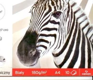 Szkolne artykuły papiernicze - Canson Bloki rysunkowe A3 BIAŁY 20 KARTEK - miniaturka - grafika 1