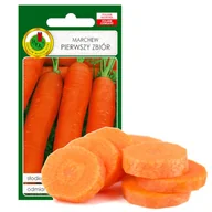 Nasiona i cebule - MARCHEW  JADALNA  WCZESNA PIERWSZY ZBIÓR NASIONA BEZ GMO - miniaturka - grafika 1