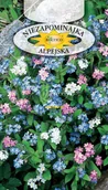 Nasiona i cebule - NIEZAPOMINAJKA ALPEJSKA MIESZANKA 0,5g - miniaturka - grafika 1