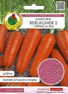 Marchew jadalna Berlikumer 2 - Perfekcja REW Inkrustowana 5 g PNOS - Nasiona i cebule - miniaturka - grafika 1