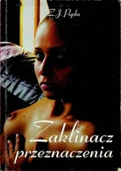 Literatura obyczajowa - Zaklinacz przeznaczenia - miniaturka - grafika 1