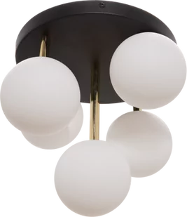 Ali lampa sufitowa 5-punktowa czarna/złota 5645 - Lampy sufitowe - miniaturka - grafika 1
