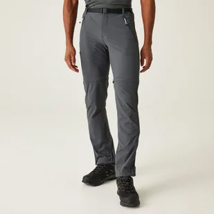 Regatta Męskie Spodnie Trekkingowe Xert Stretch Iii Zip Off Szary, Rozmiar: 36 R - Spodnie męskie - miniaturka - grafika 1