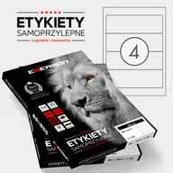 Etykiety samoprzylepne i bloki etykiet - Emerson ETYKIETA A4 190X61MM 100 ARK - miniaturka - grafika 1