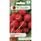 Nasiona i cebule - Rzodkiewka Rowa nasiona 5 g - miniaturka - grafika 1