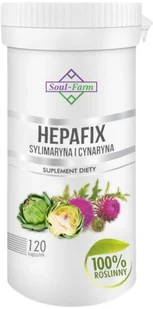 SOUL FARM Soul Farm Premium Hepafix 120 kapsułek - Suplementy naturalne - miniaturka - grafika 2