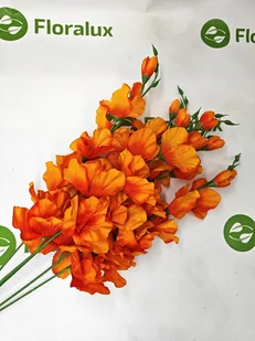 Mieczyk Do Wazonu 12 Szt Kwiat Sztuczny Wyrobowy 70 cm Bukiet Stroik - Sztuczne kwiaty - miniaturka - grafika 1