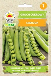 Toraf Groch cukrowy Ambrosia nasiona warzyw 50g 00106 - Nasiona i cebule - miniaturka - grafika 1