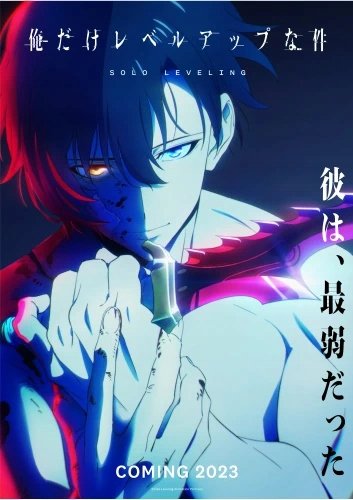 Plakat Solo Leveling A1+ (610mm x custom) Anime Na honjaman level up