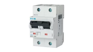 Wyłącznik nadprądowy 2P D 63A 25kA AC AZ-2-D63 211819 - Inne akcesoria elektryczne - miniaturka - grafika 1