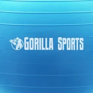 Piłki do ćwiczeń - Piłka do ćwiczeń Gorilla Sports niebieska 55cm - miniaturka - grafika 1