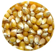 Popcorn - Kukurydza POPCORN Premium Naturalna 1kg - miniaturka - grafika 1