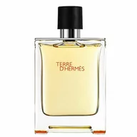 Wody i perfumy męskie - Hermes Terre DHermes Woda toaletowa 100ml TESTER - miniaturka - grafika 1