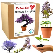 Nasiona i cebule - Prezent na Walentynki drzewko szczęścia bonsai - miniaturka - grafika 1