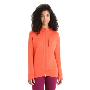 Bluzy damskie - Damska bluza Icebreaker Quantum III LS Full Zip Hoodie vibrant earth/purple gaze - grafika 1