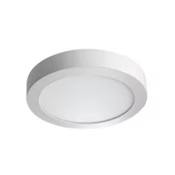 Oprawy, klosze i abażury - Oprawa oświetleniowa LED Carsa V2LED 18W-NW-W - miniaturka - grafika 1