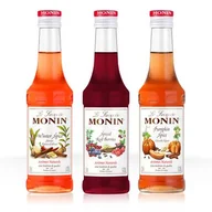 Syropy i koncentraty owocowe - Zestaw syropów MONIN Warm Up Zimowy 3x50ml - miniaturka - grafika 1