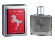Wody i perfumy męskie - Real Time Racing Horse Platinium woda toaletowa 100ml - miniaturka - grafika 1