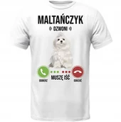 Koszulki męskie - KOSZULKA MALTAŃCZYK DZWONI MUSZĘ IŚĆ SUPER PREZENT - miniaturka - grafika 1
