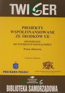 Ekonomia - Projekty współfinansowane ze środków UE. Od pomysłu do studium wykonalności - miniaturka - grafika 1