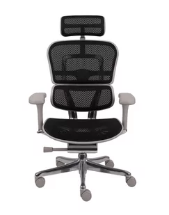 Fotel biurowy, krzesło biurowe Ergonomiczny fotel biurowy Ergohuman 2 Elite Pro GS Black - Fotele i krzesła biurowe - miniaturka - grafika 1