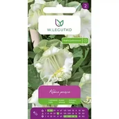 Nasiona i cebule - KOBEA PNĄCA BIAŁA 6Z - miniaturka - grafika 1