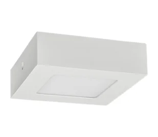 LED Plafon FENIX LED/6W/230V 3800K 12 cm - Lampy sufitowe - miniaturka - grafika 1