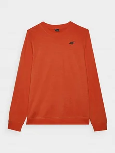 BLUZA MĘSKA TSWSM1767 4F L - Bluzy męskie - miniaturka - grafika 1