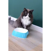 Pozostałe akcesoria dla kotów - Przezroczysta mata pod miski PetGLASS™ 50x50cm - miniaturka - grafika 1