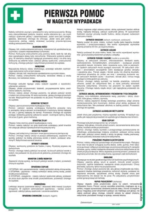 DD001 PIERWSZA POMOC W NAGŁYCH WYPADKACH, FN - FOLIA SAMOPRZYLEPNA; (245X350MM) - Instrukcje stanowiskowe BHP - miniaturka - grafika 1