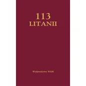 Religia i religioznawstwo - WAM 113 Litanii bordo - miniaturka - grafika 1