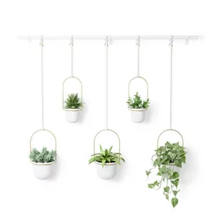 Donica TRIFLORA kolor biały umbra - FLOWERPOT/TRIFLORA/WHITE+BRASS/138X18X95 - Donice - miniaturka - grafika 1