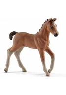 Albumy krajoznawcze - Źrebak hanowerski - miniaturka - grafika 1