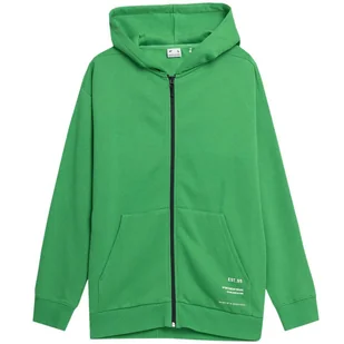 Bluza męska 4F zielona 4FSS23TSWSM236 41S-L - Bluzy męskie - miniaturka - grafika 1