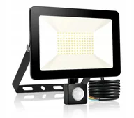 Akcesoria do oświetlenia - Mocna Lampa Naświetlacz Led 100W Z Czujnik Ruchu Elewacyjna Nad Garaż - miniaturka - grafika 1