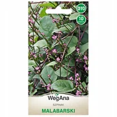 Nasiona i cebule - SZPINAK malabarski nasiona Szybko rosnący pnący WegAna - miniaturka - grafika 1