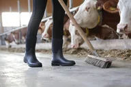Buty do jazdy konnej - Kalosze jeździeckie NeoLite, czarny, roz. 38, Covalliero - miniaturka - grafika 1