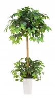 Sztuczne kwiaty - Fikus Sztuczny Drzewko Benjamin PREMIUM 150 cm - miniaturka - grafika 1
