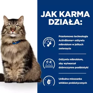 HILL'S PD Prescription Diet Feline Gastrointestinal Biome 1,5kg + niespodzianka dla kota GRATIS! - Sucha karma dla kotów - miniaturka - grafika 4