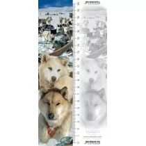 Zakładka 3D Husky - Zakładki do książek - miniaturka - grafika 1