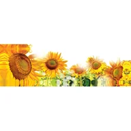 Ramki na zdjęcia - Obraz typu canvas o wymiarach 30 x 100 cm - miniaturka - grafika 1