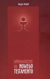 Wprowadzenie do Nowego Testamentu - Religia i religioznawstwo - miniaturka - grafika 1