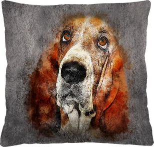 Bertoni-arco Poduszka - FRED - 40x40 cm - Kołdry i poduszki dla dzieci - miniaturka - grafika 1