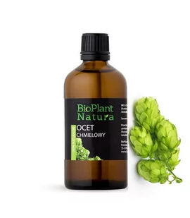 Ocet Chmielowy, surowiec kosmetyczny, 100 ml, BioPlant Natura - Włosy, skóra, paznokcie - miniaturka - grafika 1