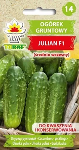 Ogórek JULIAN F1 (śr. wczesny) Cucumis sativus L. - Nasiona i cebule - miniaturka - grafika 1