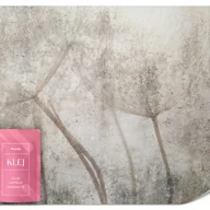 Fototapety - FOTOTAPETA DO SALONU BETON MUR NASIONA DMUCHAWCA KWIATY STYL RETRO 150x105 - miniaturka - grafika 1