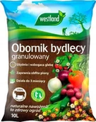 Trawy i trawniki - Target TRAWA SHANIA 5KG NA MIEJSCA ZACIENIONE - miniaturka - grafika 1