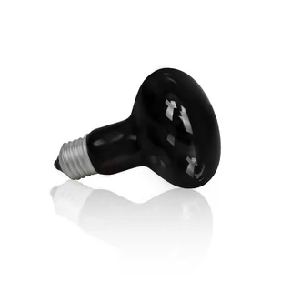 Żarówka Terra Night Heat Black 100W - Akcesoria do terrarium - miniaturka - grafika 1